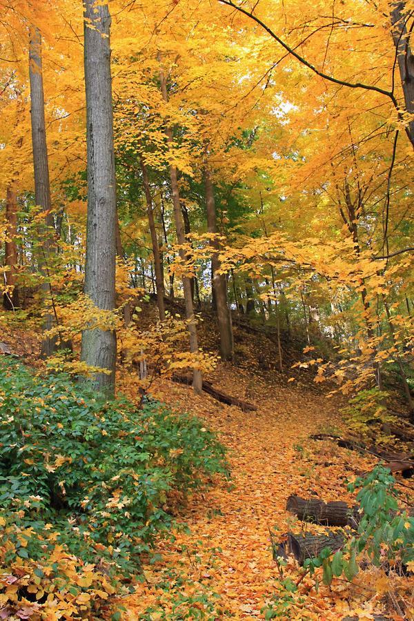 Robert Frost Mountain Cabins Мидлбери Экстерьер фото